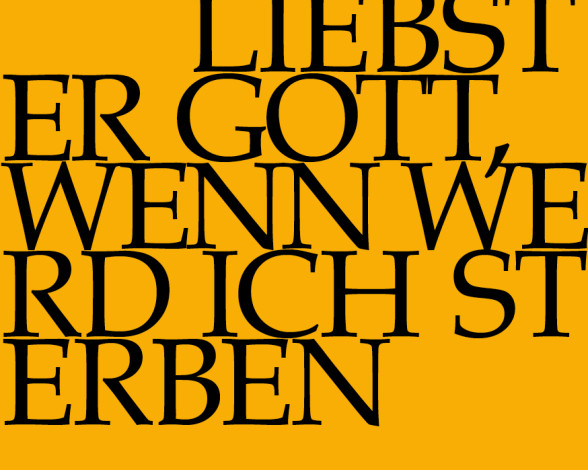 Kachel Oktober 2025 (Farbanpassung)