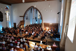 Cello für alle