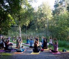 Yoga im Park