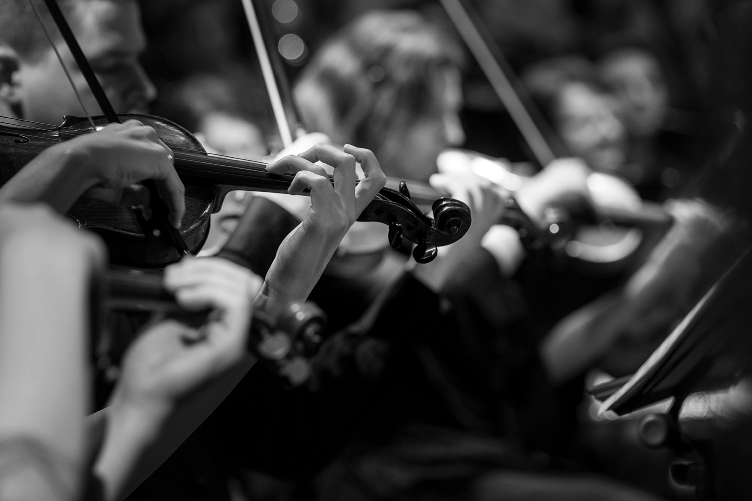 Konzert VII_Rough Surfaces