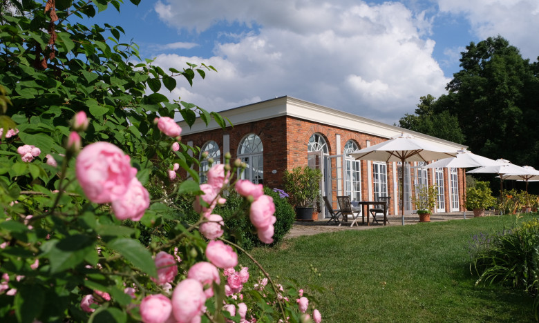 Groß Siemen, Orangerie im Rosenpark