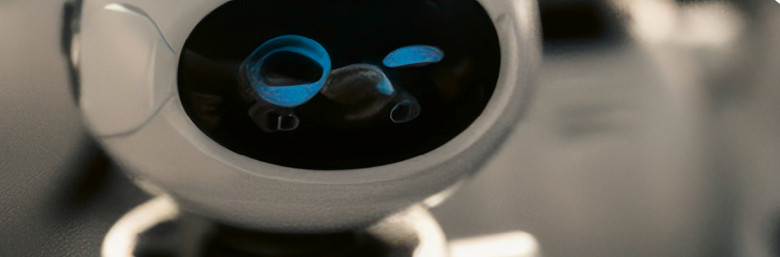 Shopbild_SSp_Beständige Begleiter