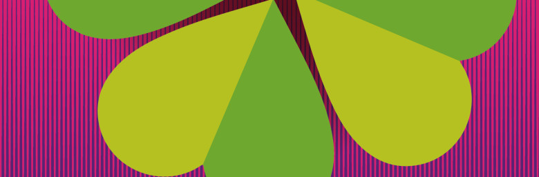 Shopbild_SSp_Blumen des Koran