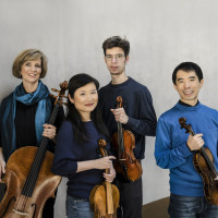 Paciic Quartett Vienna